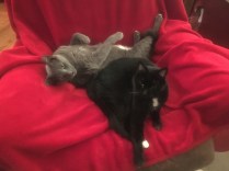 Maude and Mendy Hanging Out